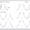 Sketches of types of Sleeves, and Sleeves length guide.